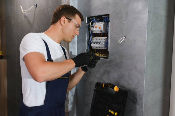 Best Electric Panel Repair  in Pistakee Highlands, IL