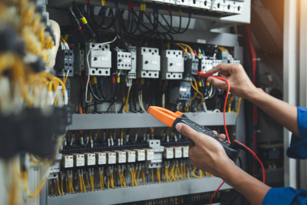 Best Electric Panel Repair  in Pistakee Highlands, IL